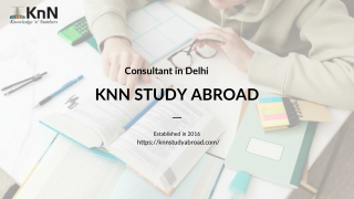 Why International Education Consultants Are a Must for First-Time students