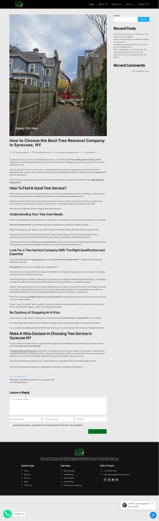 How to Choose the Best Tree Removal Company in Syracuse, NY