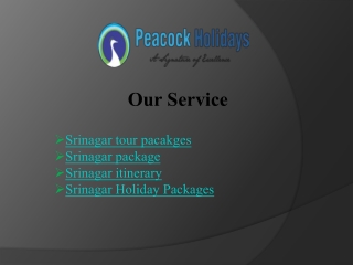 Discover Srinagar with Our Package - Peacock Holidays