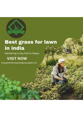 Discover the Best Grass for Lawn in India – Enhance Your Outdoor Space with Dura