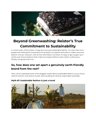 Debunking myths about sustainable fashion – Reistor
