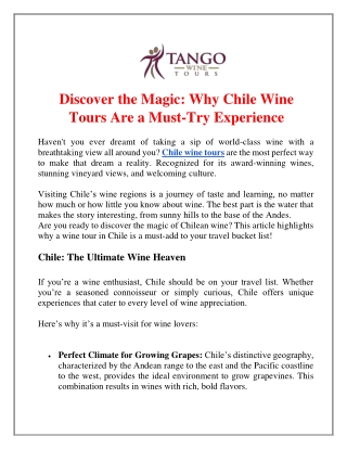 Discover the Magic Why Chile Wine Tours Are a Must-Try Experience