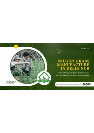 Nilgiri Grass Manufacturer in Delhi NCR - High-Quality Grass for Beautiful