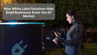 How White Label Solutions Help Small Businesses Enter the EV Market