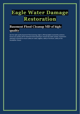 Basement Flood Cleanup MD of high-quality