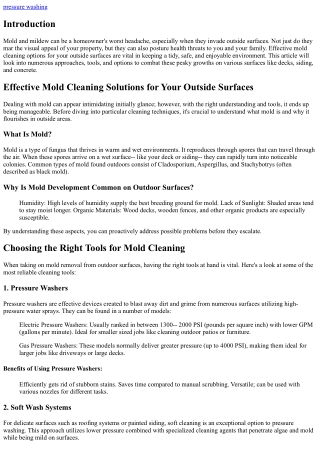 Efficient Mold Cleaning Solutions for Your Outside Surfaces