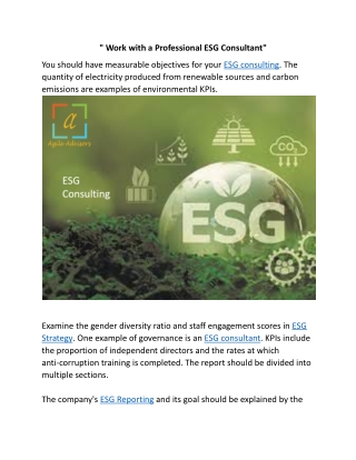 Work with a Professional ESG Consultant.docx