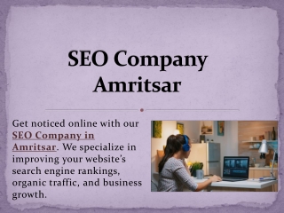 SEO Company Amritsar