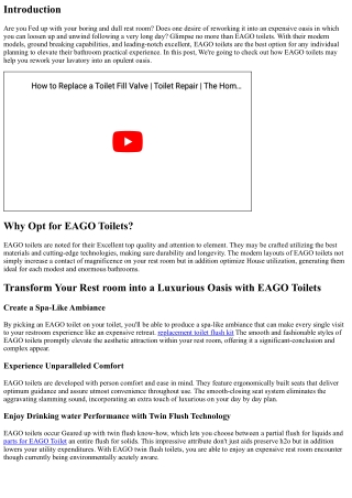 Completely transform Your Lavatory into a Luxurious Oasis with EAGO Toilets