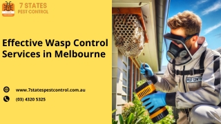 Wasp Control Services In Melbourne