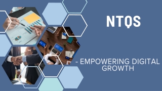 Best seo service company in india|NTQS