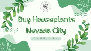Buy Houseplants Nevada City