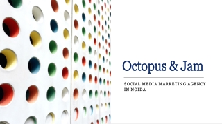 Octopus and Jam: Social Media Marketing Agency In Noida