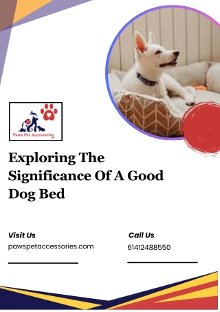 Exploring The Significance Of A Good Dog Bed