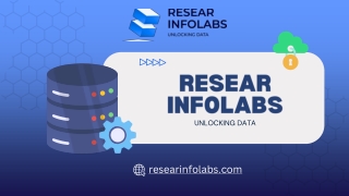 Reliable Data Mining Services for Accurate Analysis | Resear Infolabs