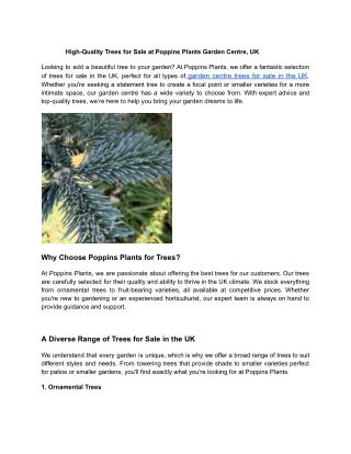 High-Quality Trees for Sale at Poppins Plants Garden Centre, UK