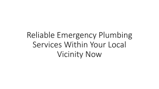 Reliable Emergency Plumbing Services Within Your Local Vicinity Now