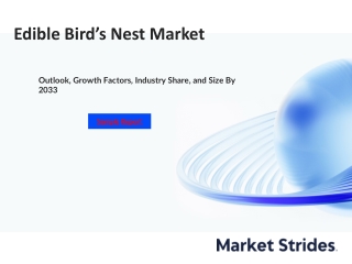 Edible Bird’s Nest Market Industry Report 2023-2033