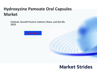 Hydroxyzine Pamoate Oral Capsules Market Trends and Growth Projections: A Decade