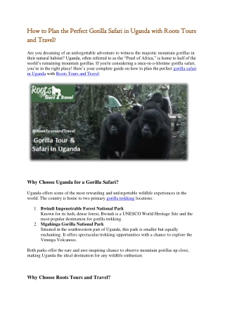 How to Plan the Perfect Gorilla Safari in Uganda with Roots Tours and Travel