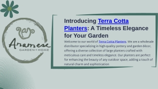 Terra Cotta Large Planters
