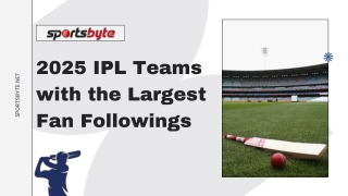 Indian Premier League 2025