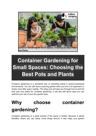 Container Gardening for Small Spaces_ Choosing the Best Pots and Plants