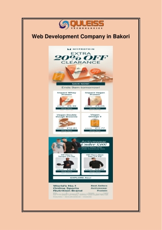 Web Development Company in Bakori