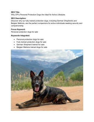 Why Our Personal Protection Dogs Are  Perfect Companions for Active Individuals