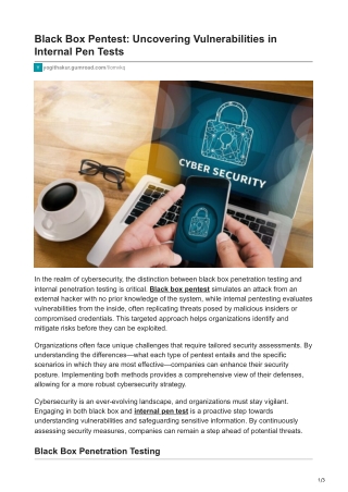 Black Box Pentest Uncovering Vulnerabilities in Internal Pen Tests