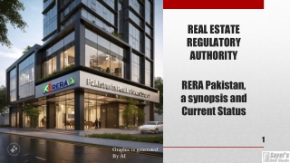 RERA Pakistan Synopsis and Status