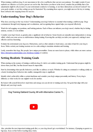 How to Handle Setbacks While Training a Stubborn Dog