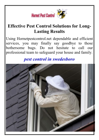 Effective Pest Control Solutions for Long-Lasting Results