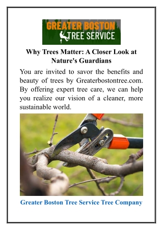 Why Trees Matter  A Closer Look at Nature's Guardians