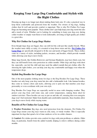 Keeping Your Large Dog Comfortable and Stylish with the Right Clothes