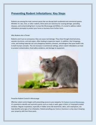 Preventing Rodent Infestations Key Steps