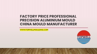 Factory price professional precision aluminium mould china mould manufacturer