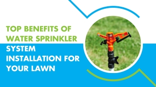 Efficient Watering Systems for Every Need