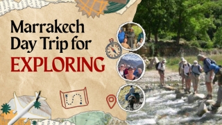 Marrakech Day Trip for Exploring