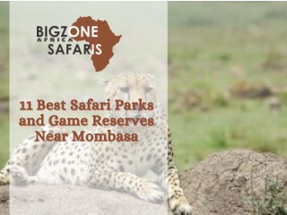 11 Best Safari Parks and Game Reserves Near Mombasa