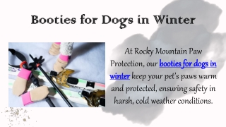 Booties for Dogs in Winter