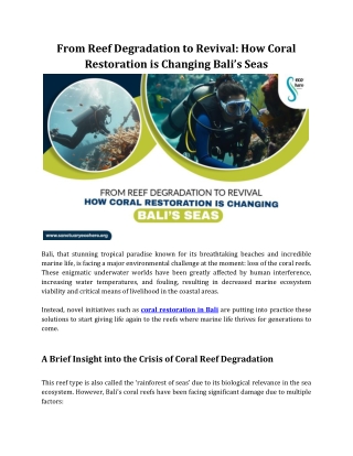 From Reef Degradation to Revival_ How Coral Restoration is Changing Bali’s Seas