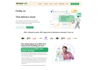 The white label Local SEO and manual link building service