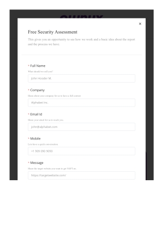 Web application security testing