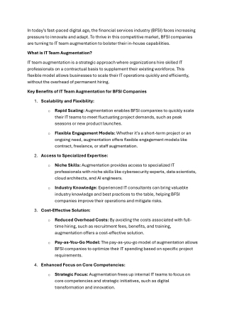 IT Team Augmentation