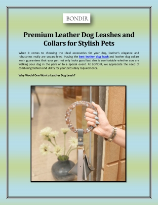 Premium Leather Dog Leashes and Collars for Stylish Pets