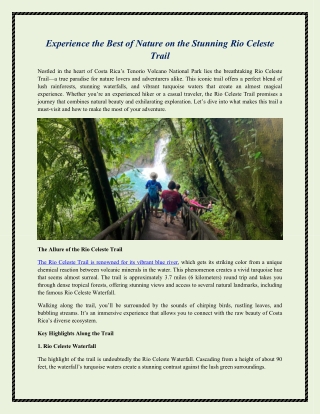 Experience the Best of Nature on the Stunning Rio Celeste Trail