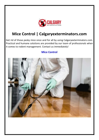 Mice Control | Calgaryexterminators.com