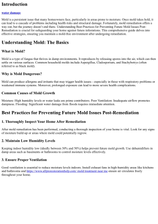 “Best Practices for Preventing Future Mold Issues Post-Remediation”