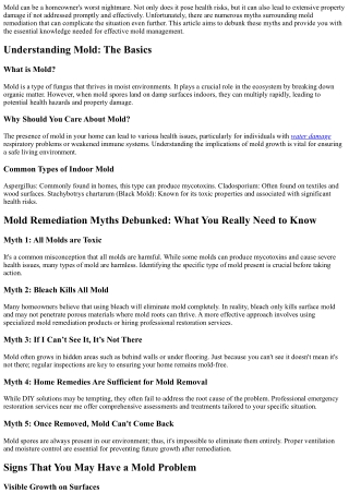 Mold Remediation Myths Debunked: What You Really Need to Know